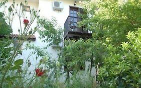 Misafir Evi